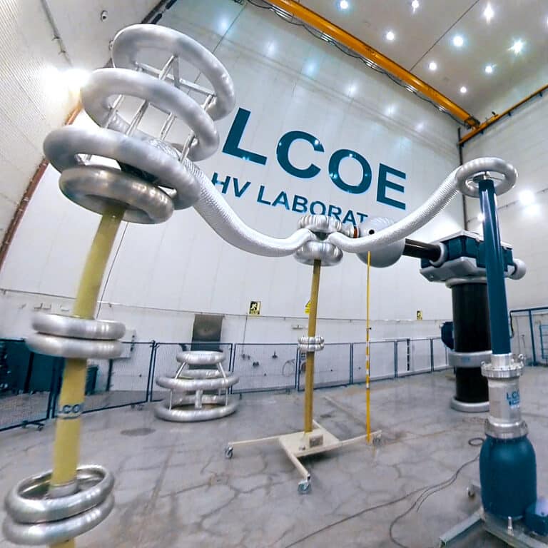 Imagen del vídeo realizado a LCOE